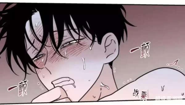 羞羞漫画官方版在线阅读