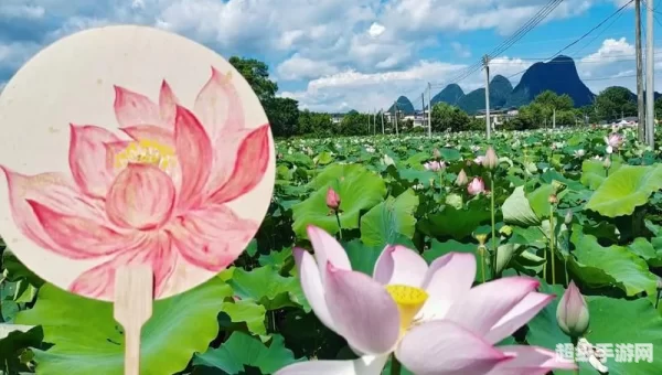 清凉暑假