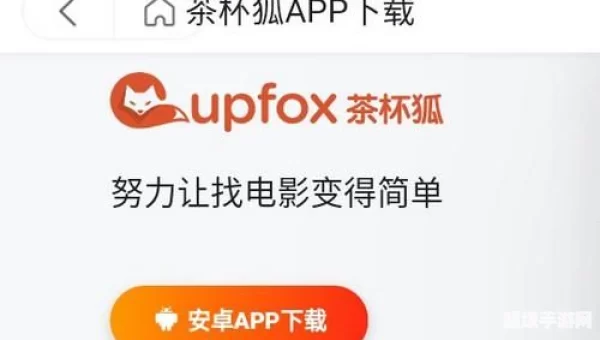 茶杯狐foxcup