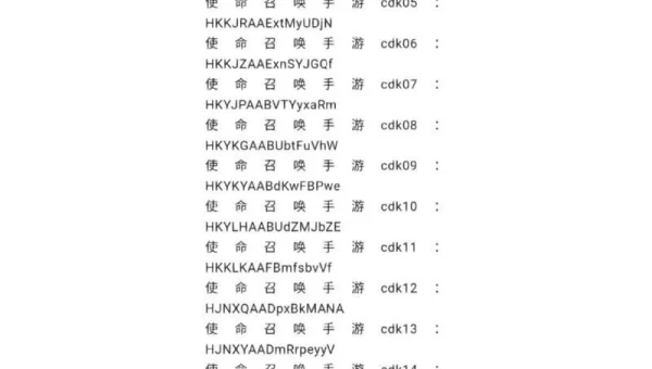 使命召唤手游口令码