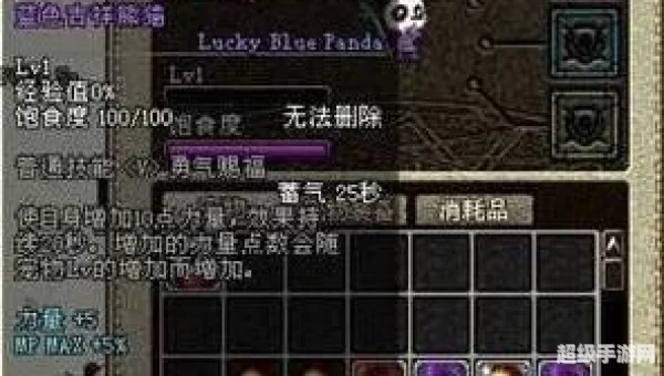 dnf熊猫