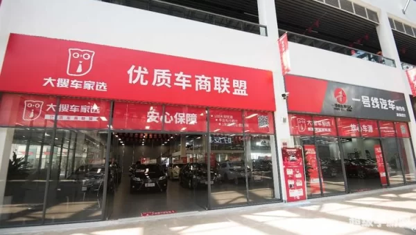 大搜车家选