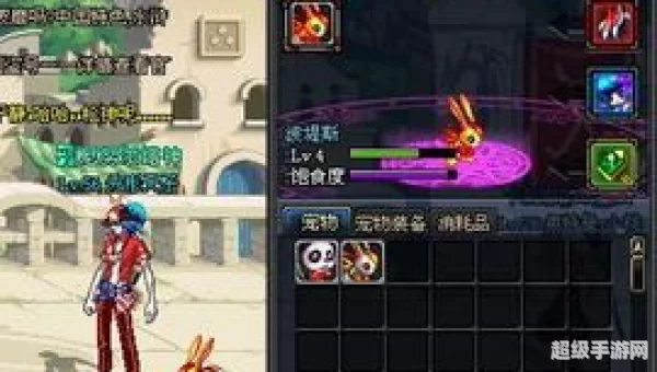 dnf最新宠物