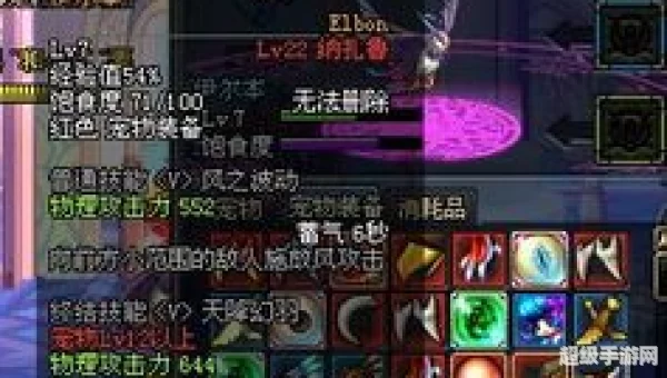dnf最新宠物