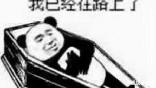 安排一下