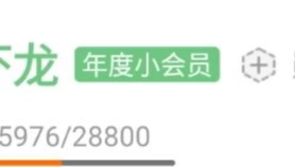 b站年度小会员