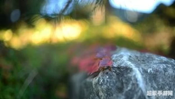 景深效果