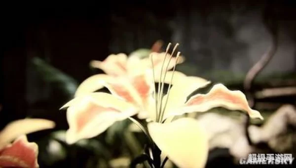 景深效果