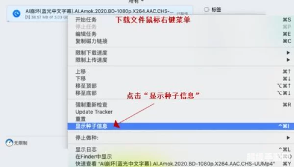 TRACKER怎么下载：利用TRACKER工具快速生成文章概述副标题